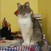 Отзыв от Лилия Булгакова